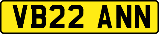 VB22ANN