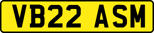 VB22ASM