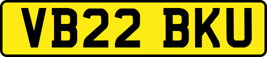 VB22BKU