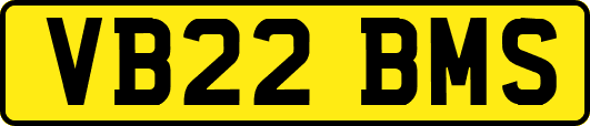 VB22BMS