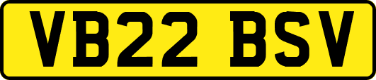 VB22BSV