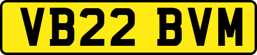 VB22BVM