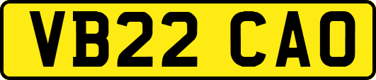 VB22CAO