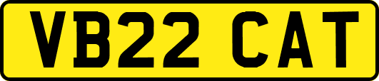 VB22CAT