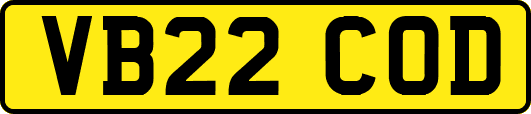 VB22COD