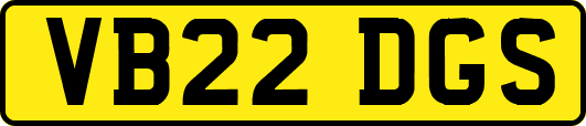 VB22DGS