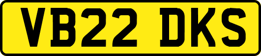 VB22DKS