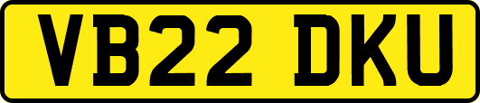VB22DKU