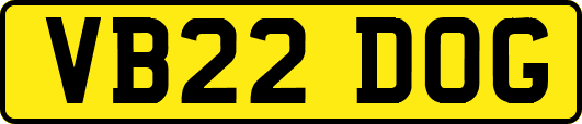 VB22DOG