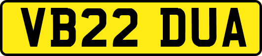 VB22DUA