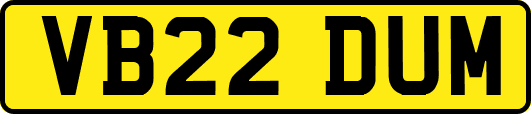 VB22DUM