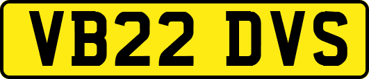 VB22DVS