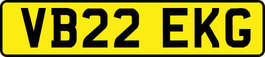 VB22EKG