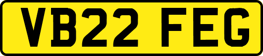 VB22FEG