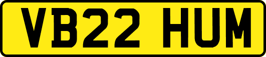 VB22HUM
