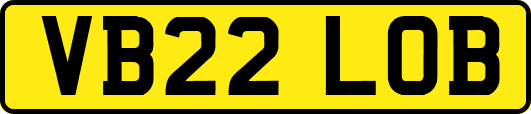VB22LOB