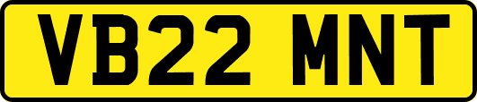 VB22MNT