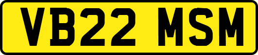 VB22MSM