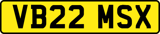 VB22MSX