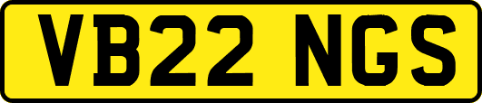 VB22NGS
