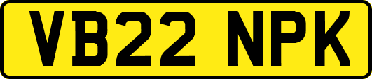 VB22NPK