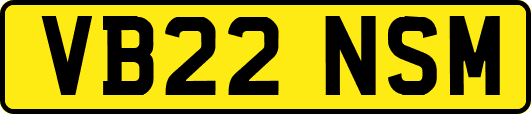 VB22NSM