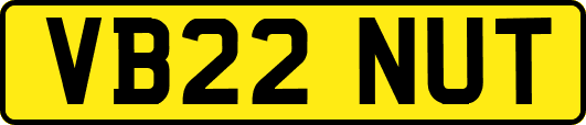 VB22NUT