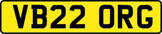 VB22ORG