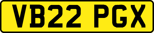 VB22PGX