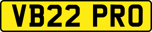 VB22PRO