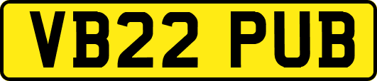 VB22PUB