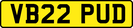 VB22PUD