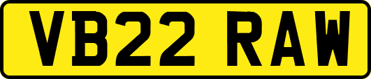 VB22RAW