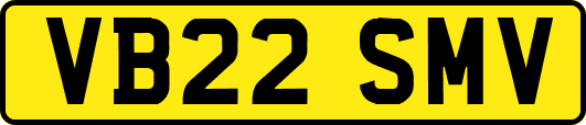 VB22SMV