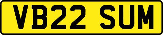 VB22SUM