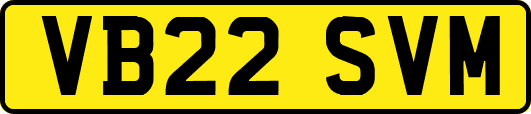 VB22SVM