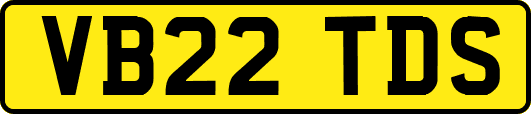VB22TDS
