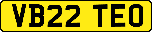 VB22TEO