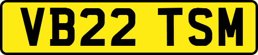 VB22TSM