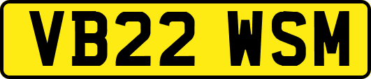VB22WSM