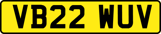 VB22WUV