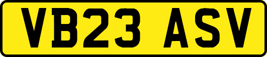 VB23ASV
