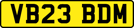 VB23BDM