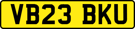 VB23BKU