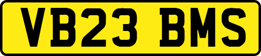 VB23BMS