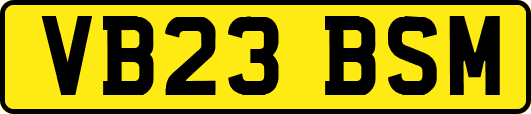 VB23BSM