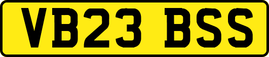 VB23BSS