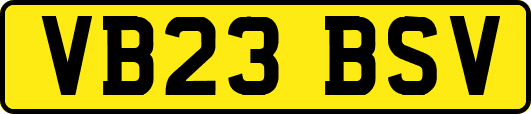 VB23BSV