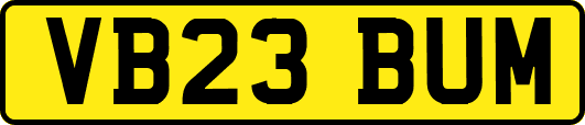 VB23BUM