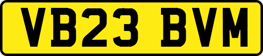 VB23BVM